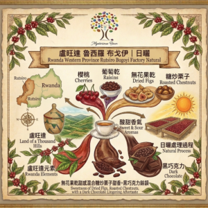盧旺達 魯西羅 布戈伊｜日曬 Rwanda Western Province Rutsiro Bugoyi Factory Red Bourbon Natural 100g