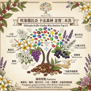 埃塞俄比亞 卡法森林 金寶｜水洗 Ethiopia Kaffa Gimbo Bita Station Top G1 Geisha