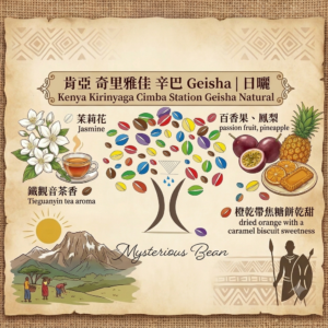 肯亞 奇里雅佳 辛巴 Geisha｜日曬 Kenya Kirinyaga Cimba Station Geisha Natural