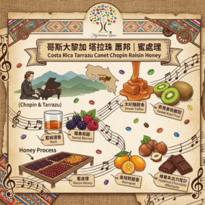 音樂家系列～哥斯大黎加 塔拉珠 蕭邦｜蜜處理 Costa Rica Tazzazu Canet Chopin Raisin Honey