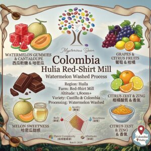 哥倫比亞 維拉 紅衫處理廠 | 西瓜水洗 Colombia Hulia Red-Shirt Mill Watermelon Washed